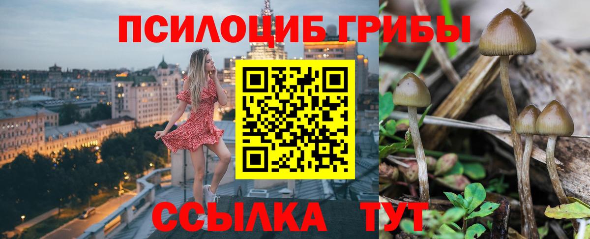 Псилоцибиновые грибы Cubensis  Псилоцибиновые грибы Psilocybine cubensis  Вход с VPN  Омск 